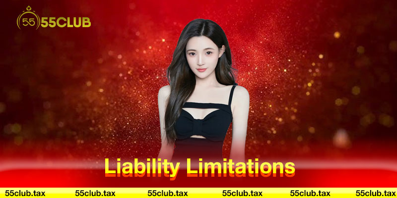 Liability Limitations